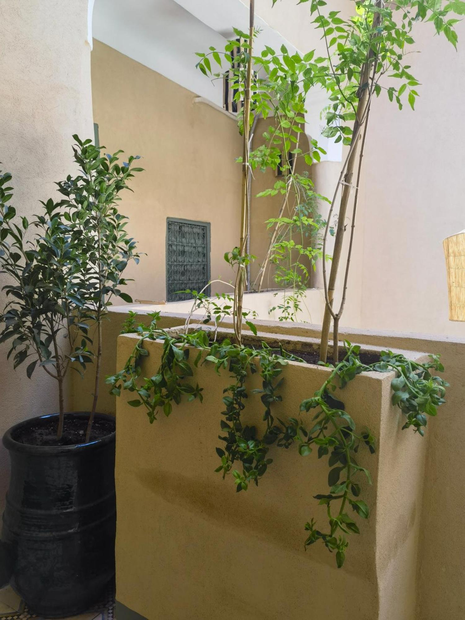 Medina Oasis Hostel Marrakesh Ngoại thất bức ảnh